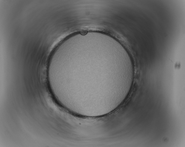 X0000111440012200907271141