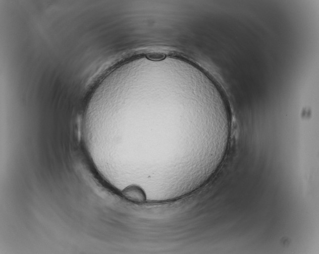 X0000111440013200907271141