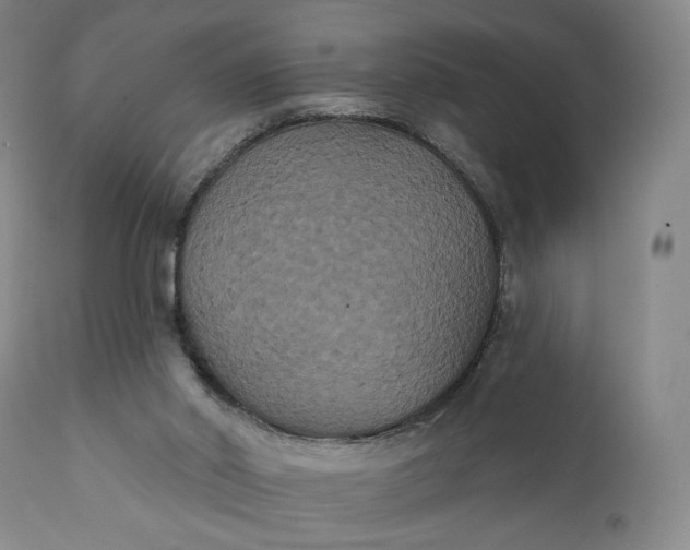 X0000111440014200907271141