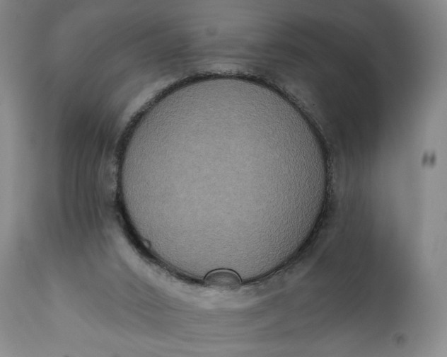 X0000111440016200907271141