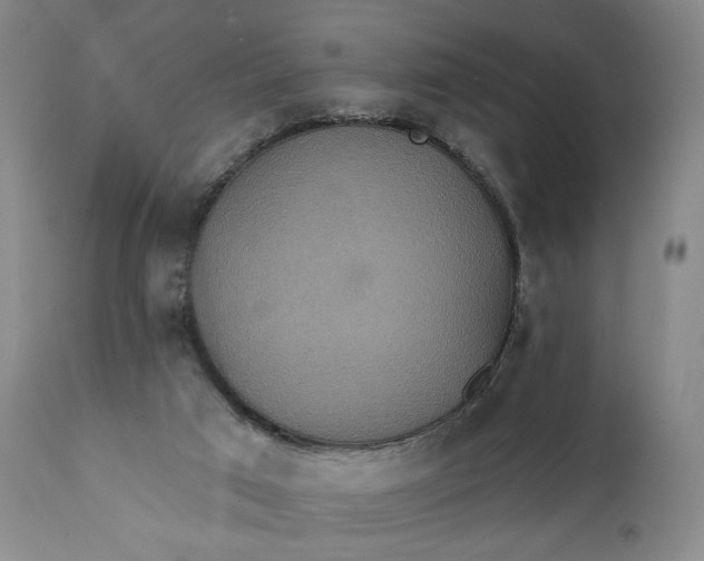 X0000111440017200907271141