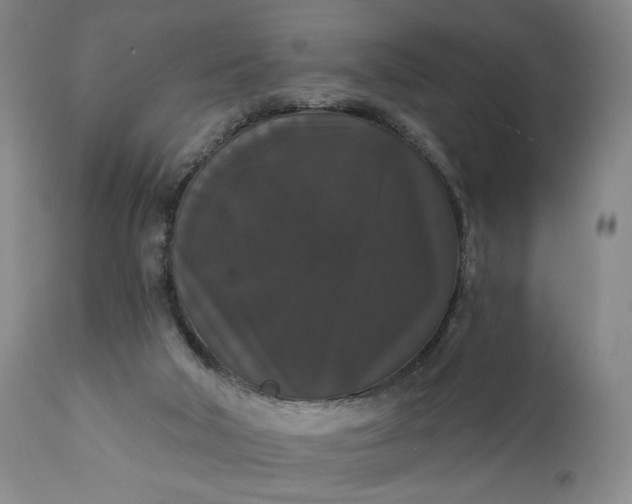 X0000111440018200907271141