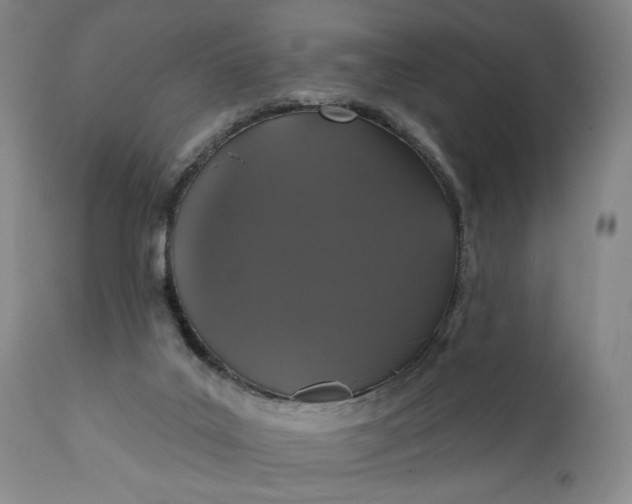 X0000111440019200907271141