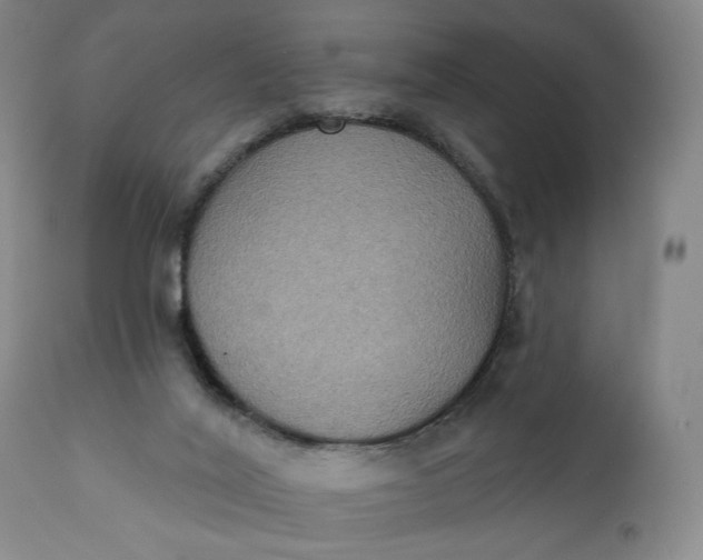 X0000111440020200907271141