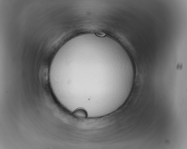 X0000111440021200907271141