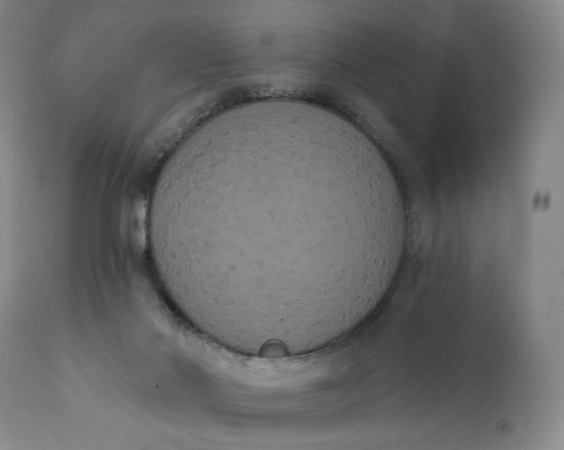 X0000111440022200907271141