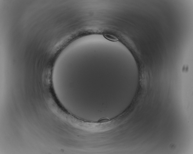 X0000111440023200907271141