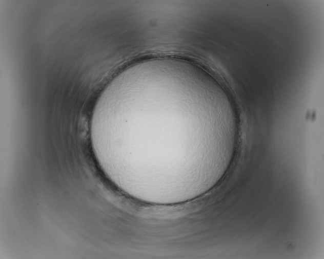 X0000111440025200907271141