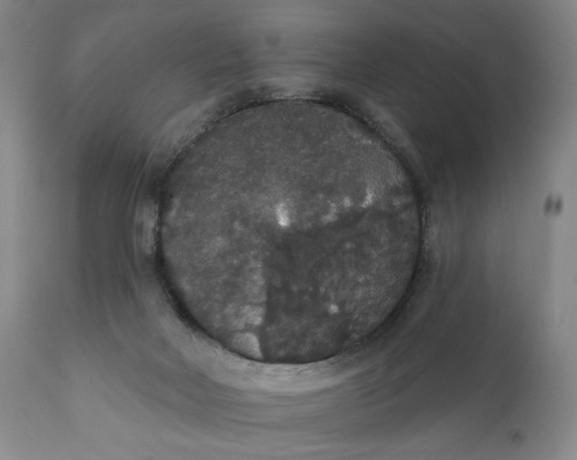 X0000111440026200907271141