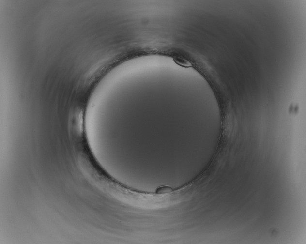 X0000111440027200907271141