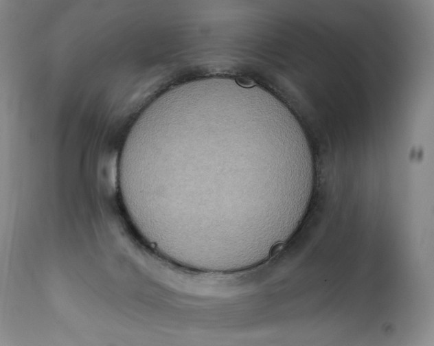 X0000111440028200907271141