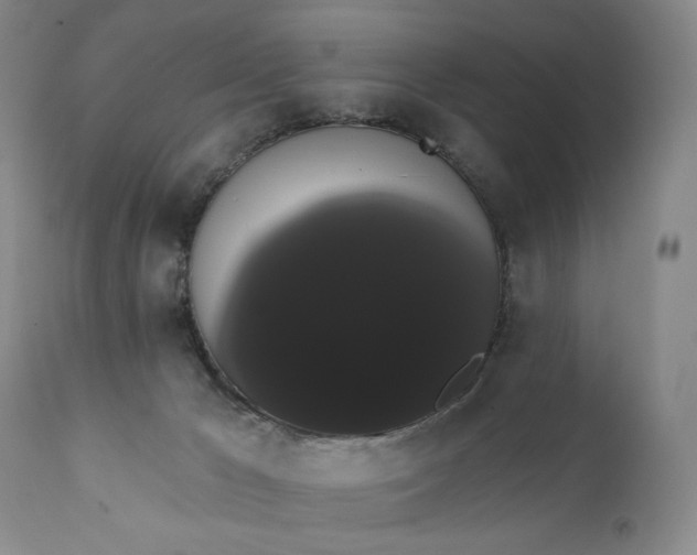 X0000111440029200907271141