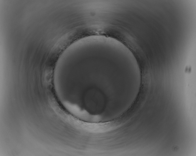 X0000111440030200907271141