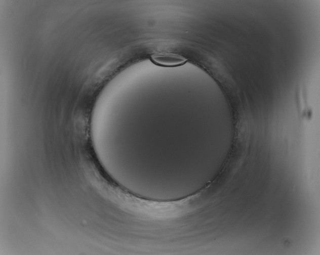 X0000111440031200907271141