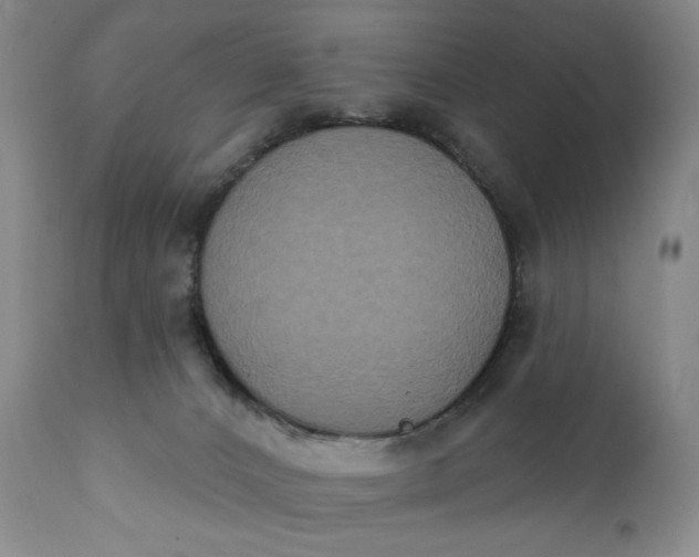 X0000111440032200907271141