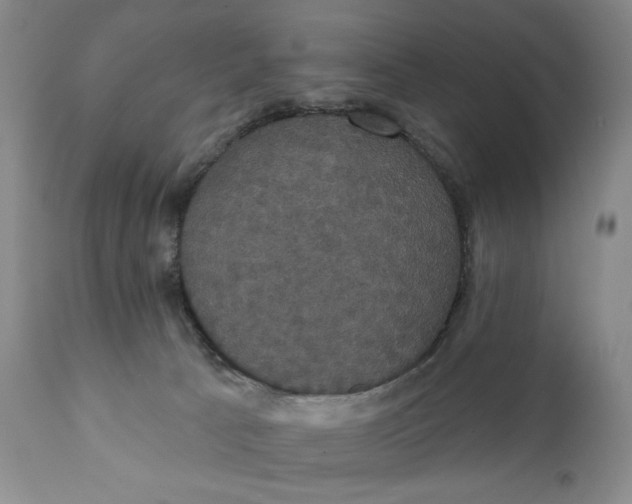 X0000111440033200907271141