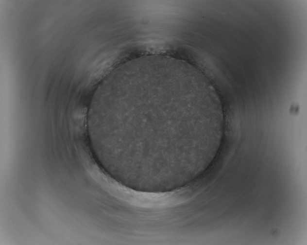 X0000111440034200907271141