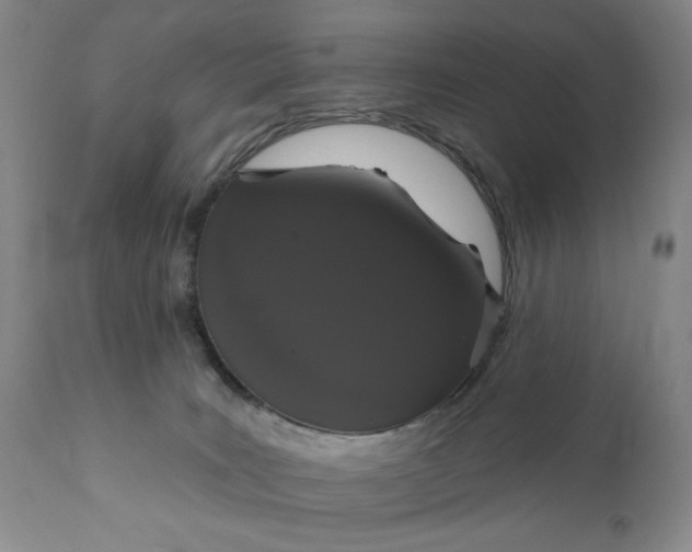 X0000111440035200907271141