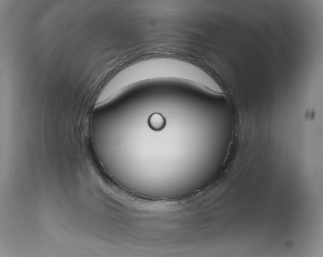 X0000111440036200907271141