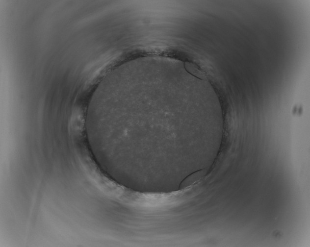 X0000111440037200907271141