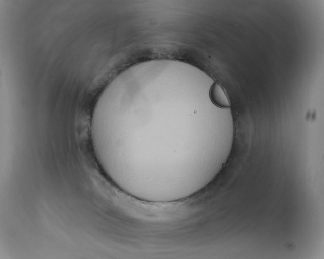 X0000111440038200907271141