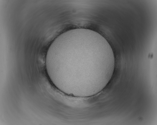 X0000111440040200907271141