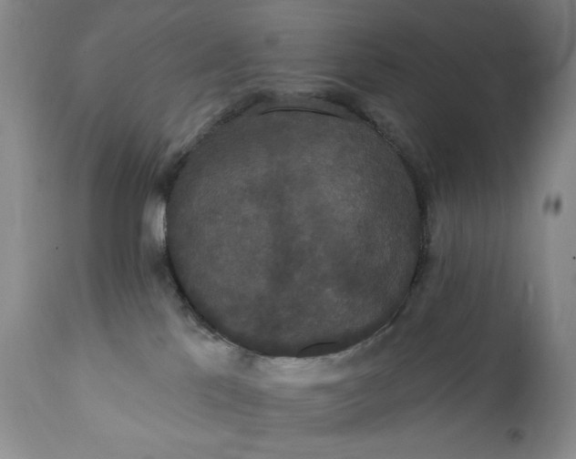 X0000111440041200907271141