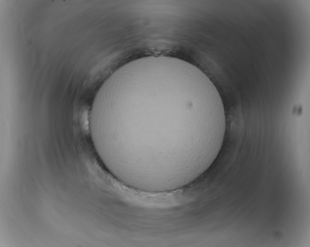 X0000111440042200907271141