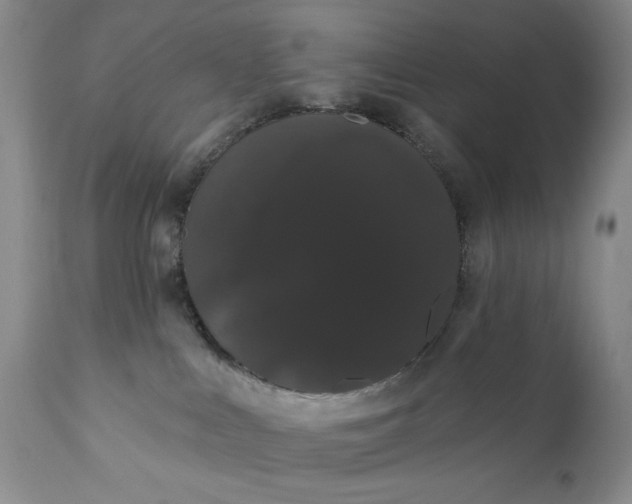 X0000111440043200907271141