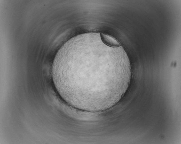 X0000111440044200907271141