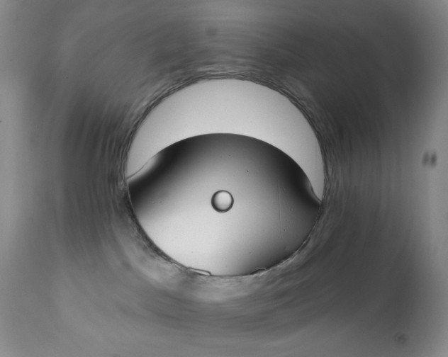 X0000111440045200907271141