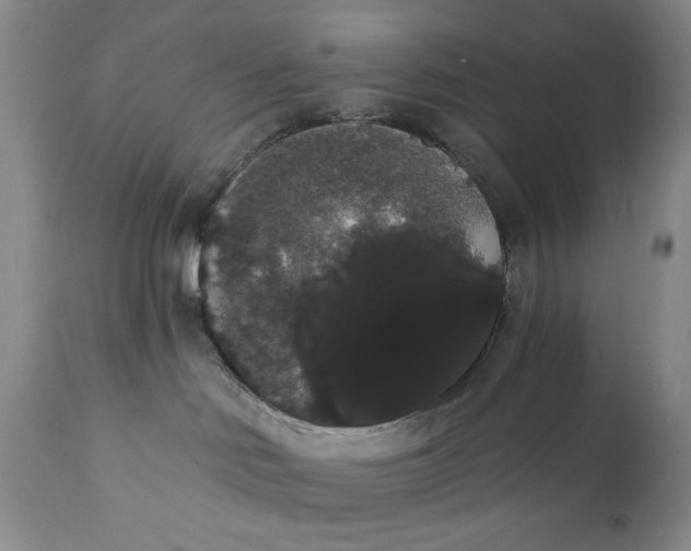 X0000111440046200907271141