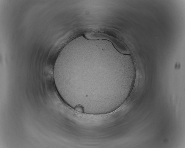 X0000111440048200907271141