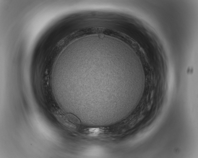 X0000111440050200907271140