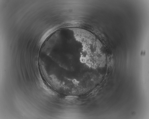 X0000111440051200907271140