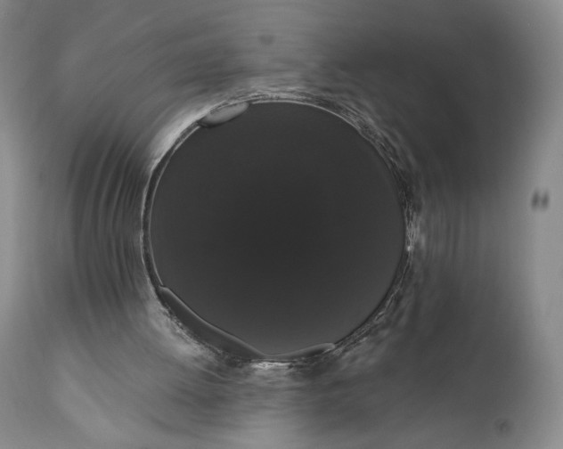 X0000111440052200907271140