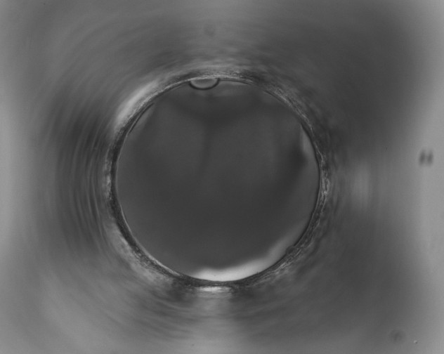 X0000111440053200907271140