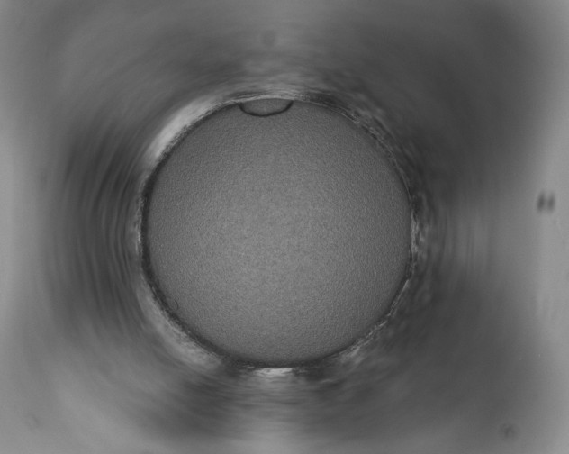 X0000111440054200907271140