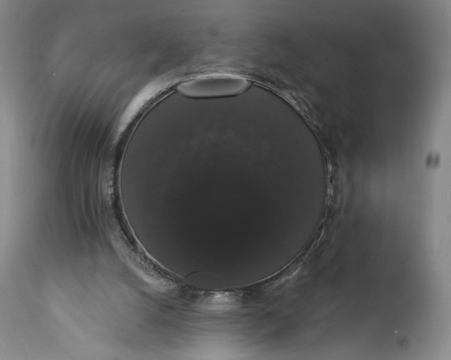 X0000111440056200907271140