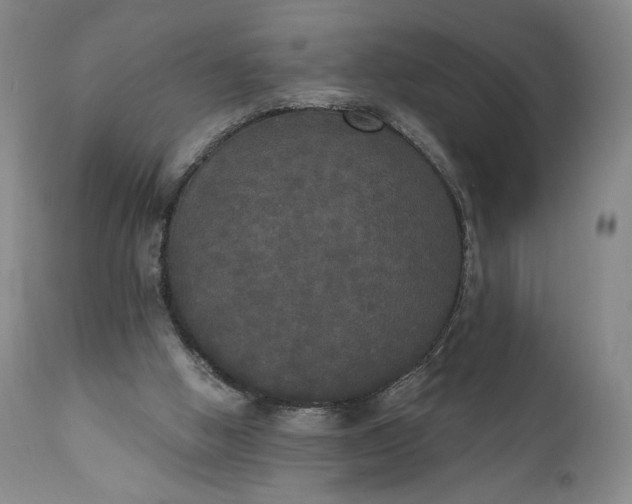 X0000111440058200907271140