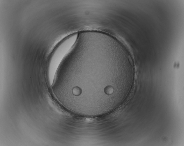 X0000111440060200907271140