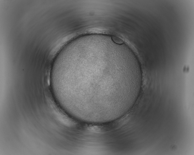 X0000111440062200907271140