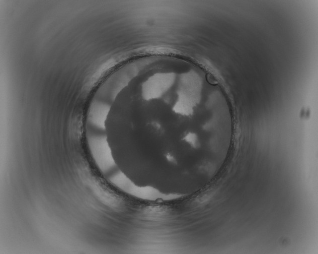 X0000111440063200907271140