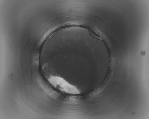 X0000111440064200907271140