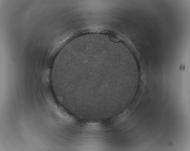 X0000111440066200907271140