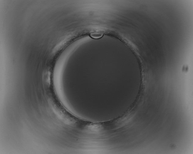 X0000111440067200907271140