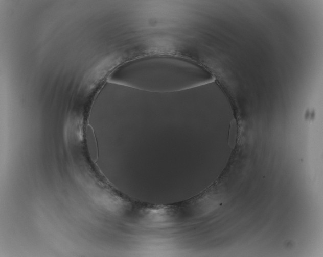 X0000111440068200907271140