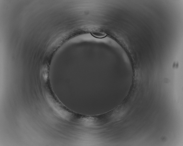 X0000111440069200907271140