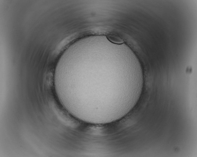 X0000111440071200907271140