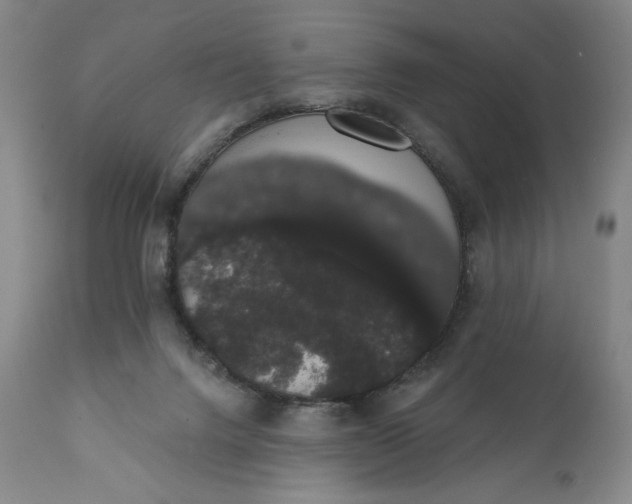 X0000111440072200907271140